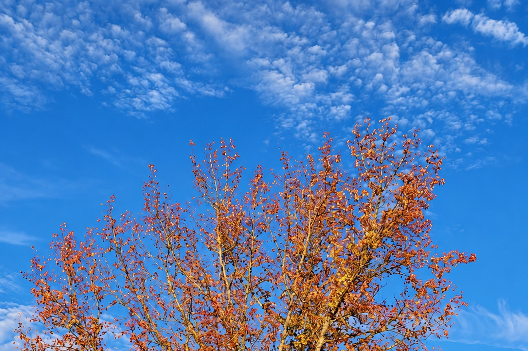Is the Sky Really Bluer in Autumn?